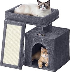 La edad ideal para que tu gato tenga un rascador y cama