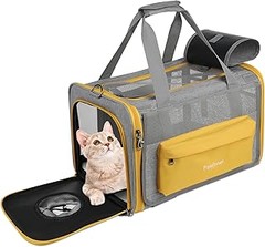 Accesorios útiles para el transportín de gatos: mejora su comodidad
