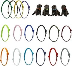Opciones de identificación para perros sin collar