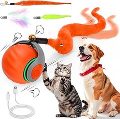 Opciones Efectivas de Juguetes Tradicionales para Gatos