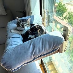 Alternativas cómodas a las camas de ventana para gatos