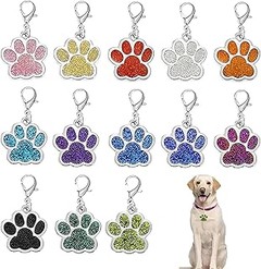 Opciones efectivas a las chapas identificativas para gatos