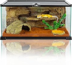 Mejores alternativas a los terrarios de malla para reptiles
