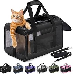 Opciones innovadoras para transportar a tu gato sin un transportín