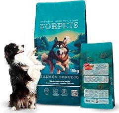 Alternativas al pienso de salmón para perros que debes considerar