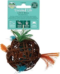 Ideas creativas para juguetes caseros para roedores