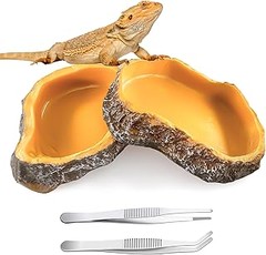 Soluciones innovadoras para comederos de reptiles