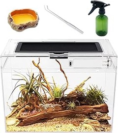 Alternativas DIY a los terrarios comerciales para geckos y lagartos
