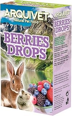 Descubre Alternativas Naturales a los Snacks Comerciales para Roedores