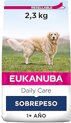 Mejores alternativas al pienso comercial para perros esterilizados