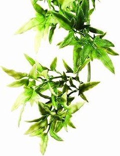 Descubre los beneficios ambientales de usar plantas artificiales en terrarios