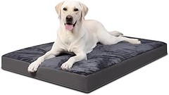 Ventajas de las camas elevadas para perros