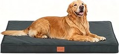 Ventajas de las camas ortopédicas para perros ancianos