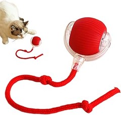 ¿Por qué son importantes los juguetes para gatos mayores?