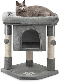 Descubre los beneficios de los sets de rascador y cama para gatos