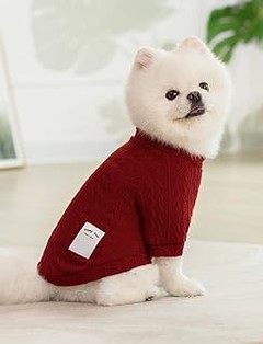 ¿Cuáles son los beneficios de vestir a tu perro con ropa básica?
