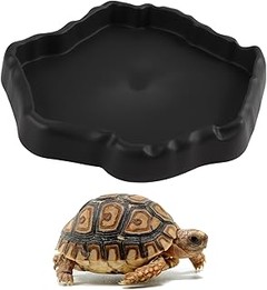 ¿Qué características debe tener un cuenco de agua para reptiles?