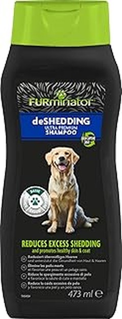 Mejores champús para perros de pelo corto con problemas de pelo graso