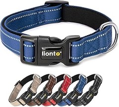 ** ¿Qué collares son seguros para un perro pequeño?