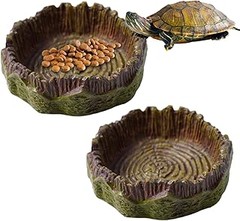 Comparativa de comederos de plástico y cerámica para reptiles