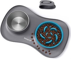 Comederos ideales para perros con trastornos alimentarios