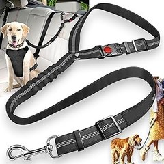 Estrategias para que tu perro use el cinturón de seguridad sin estrés