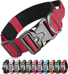 ¿Cómo colocar un collar a tu perro para mayor comodidad?