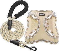 Cuidados esenciales para el chaleco reflectante de tu perro