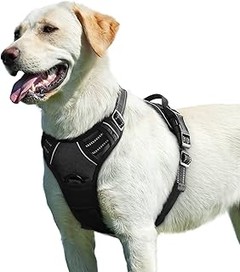 Guía para elegir el arnés perfecto para tu perro