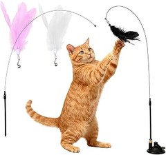 ** Cómo Elegir el Mejor Señuelo para Gatos