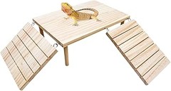 Guía para seleccionar el mejor terrario para geckos y lagartos