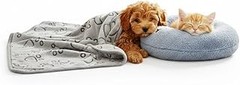 Guía para elegir la manta adecuada para tu perro