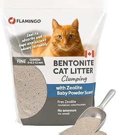 Guía para elegir la mejor arena para gatos según sus gustos