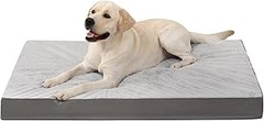 Guía para elegir la cama adecuada para tu perro