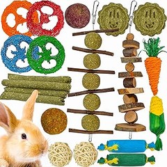 Guía para elegir el mejor kit de inicio para conejos y cobayas