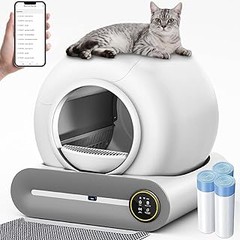 Consejos para enseñar a tu gato a usar un arenero autolimpiante