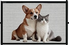 Estrategias para evitar que tu perro supere la barrera interior