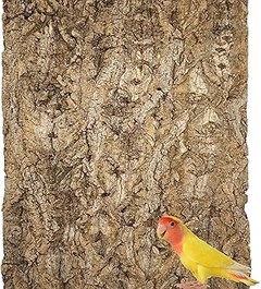 Guía para instalar un fondo decorativo en tu terrario