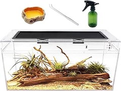Guía paso a paso para instalar un terrario para serpientes