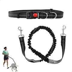 Guía para instalar y ajustar chalecos o cinturones para perros al correr