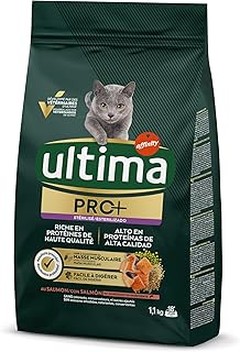 Guía práctica para cambiar a tu gato al pienso de salmón