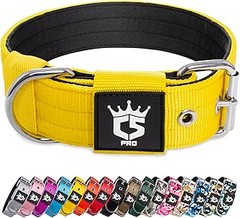 Consejos prácticos para mantener y limpiar el collar de tu perro