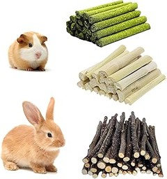 Guía para limpiar y mantener los juguetes de tus roedores