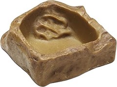 Estrategias para evitar que el agua se ensucie en el cuenco de reptiles