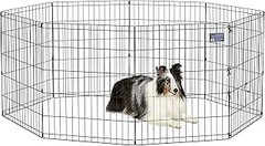 Guía práctica para usar un corralito interior para perros