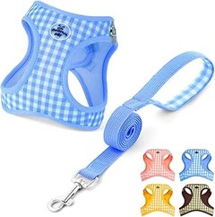 Chalecos Reflectantes o Collares Iluminados: ¿Cuál es Mejor para tu Perro?