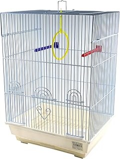 Comparativa: Jaulas para Periquitos vs. Otras Aves