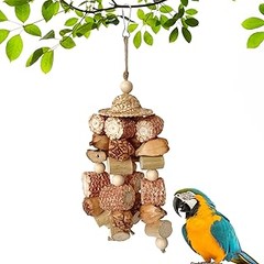 Comparativa de los mejores juguetes para loros según el material