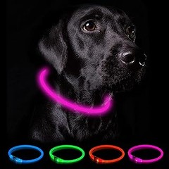 Mejores luces LED para collares de perros: comparativa de marcas