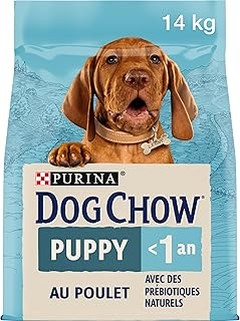 Comparativa de los Mejores Piensos para Cachorros: Advance, Royal Canin y Arquivet